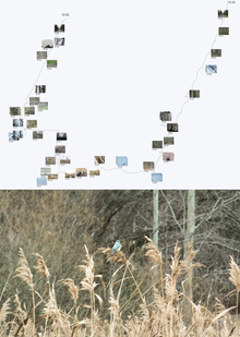 Северное побережье Невской губы