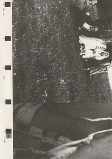 Шелкография, ризография и другие виды печати