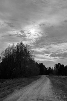 Заключение