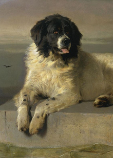 Собака как персонаж