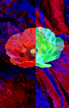 Резкие трансформации