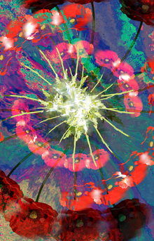 Зеркальные миры и отражения