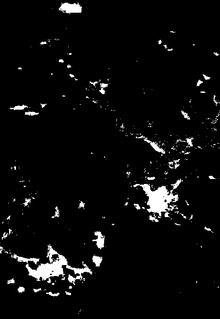 Заключение