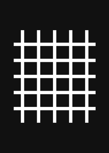 Глава 1: Глаз как система ошибок