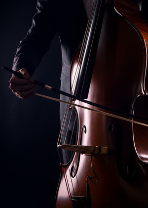 Деконструкция музыкальных инструментов в работах художников 20 века