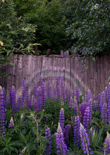 Ускользающая материя