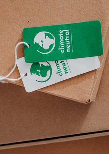 глава III. Несовпадение ожиданий и реальных практик брендов