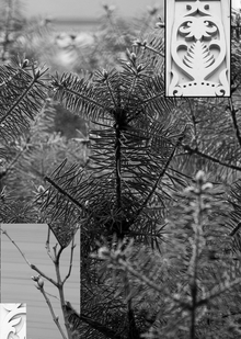 Заключение