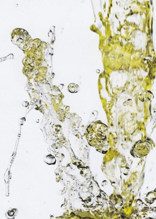 Заключение