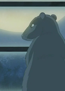 Маленькие зверьки и внешний мир