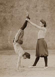 Гигиеническая модель