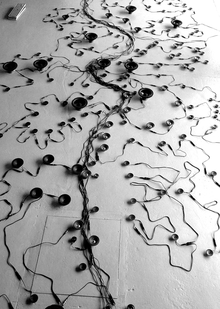 Гетеротопии