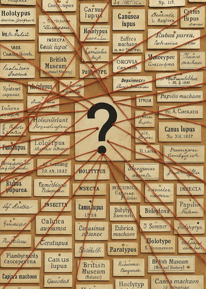 Системы маленьких доказательтсв