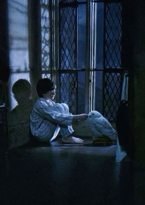 "Гарри Поттер": эмоциональное развитие саундтрека