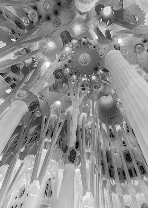 Биомимикрия в архитектуре Европы XX-XXI веков