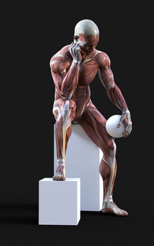 Сравнительный анализ: Autodesk Maya