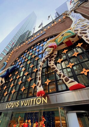 Психология восприятия предметного дизайна и оформления торговых пространств