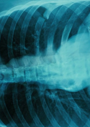 Развитие визуального и повествовательного языка в творчестве Пак Чхан-Ука