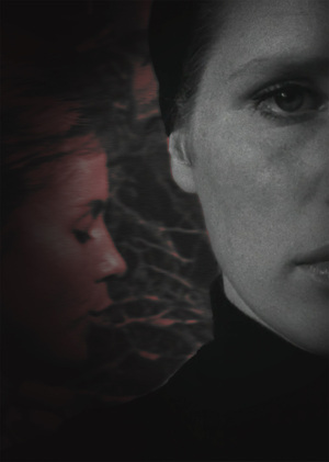 Работа со светом и цветом у Ингмара Бергмана