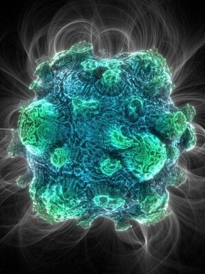 Соприкосновение математических методов и медиа-арта