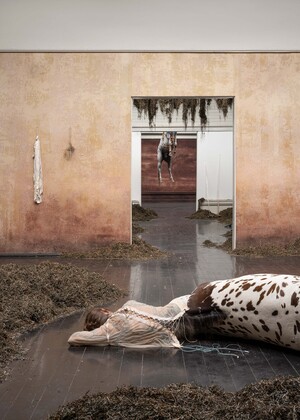 Искусство как насильственный медиум истины