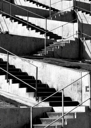  Как социальная иерархия заставляет нас быть жестокими?