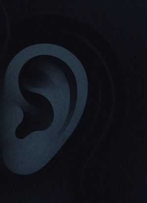 Исследования звуковой культуры в XX веке