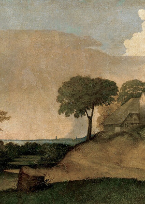 Проблема репрезентации природы в европейской живописи XIII - XVI веков