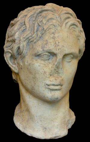 Изображение форм носа в скульптуре от Античности до Ренессанса