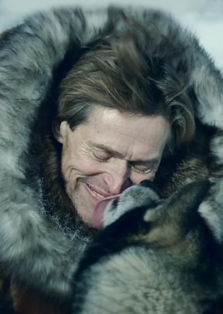 Хвост, глаза и уши. Визуализация эмоций животных в современном кино