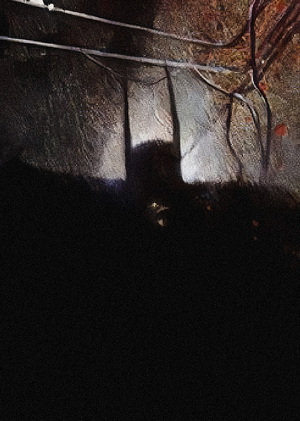 Графическая атмосфера ночи: тьма в комиксе