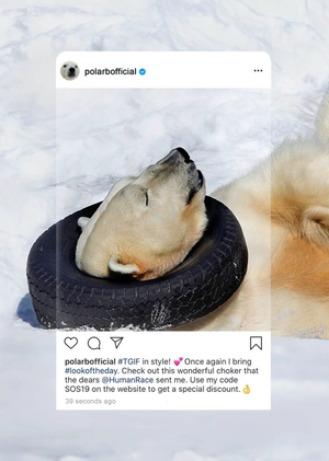 Визуальные коды социальной рекламы