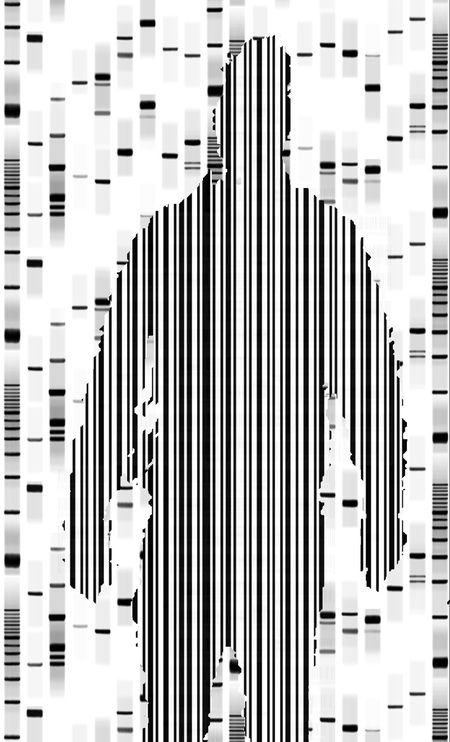 Репрезентация медиаискусства в эпоху постмедийности: случай Петера Вайбеля