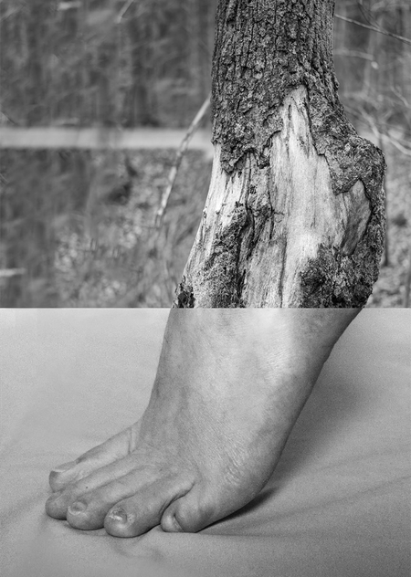 Диптих: исследование визуальной связи человека и природы