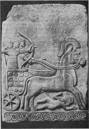 Украшение лошадей в Древнем Египте