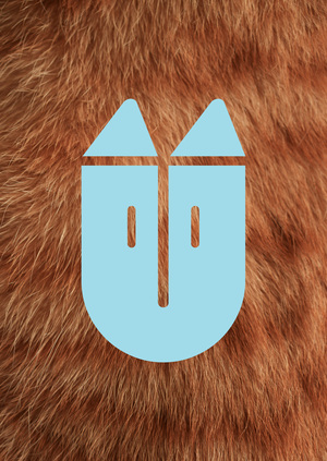 Рекламная кампания для бренда Furlingo