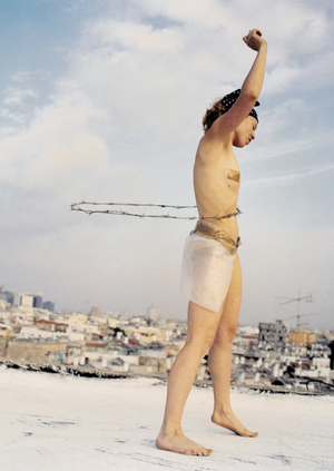 Женское тело в видеоарте как пространство сопротивления