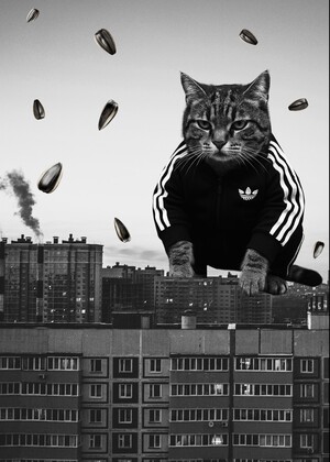 Эволюция визуального образа гопника в массовой культуре (1990-е – 2020-е)