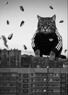 Эволюция визуального образа гопника в массовой культуре (1990-е — 2020-е) Эволюция визуального образа гопника в массовой культуре (1990-е — 2020-е)