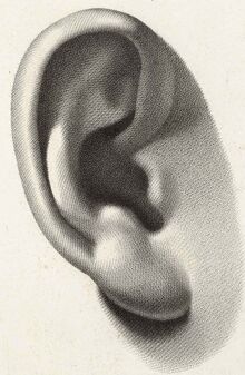 Spatial Hearing