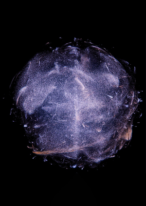 Прекрасное и возвышенное в цифровую эпоху