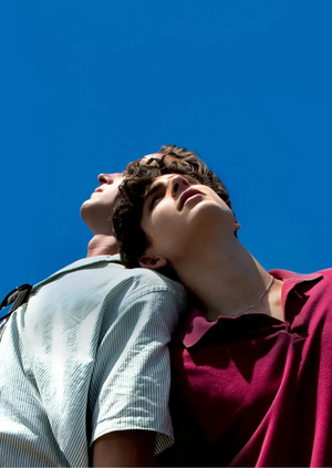 Визуальный анализ фильма "Зови меня своим именем" (2017)