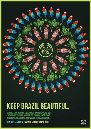 Эко-образ в рекламе: визуальные метафоры заботы о планете