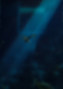 V. Заключение