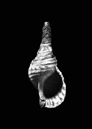 Эстетика ритуального звука. Символизм в дизайне музыкальных инструментов