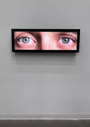 От вычисления к образу: алгоритмическое зрение в медиа-арте