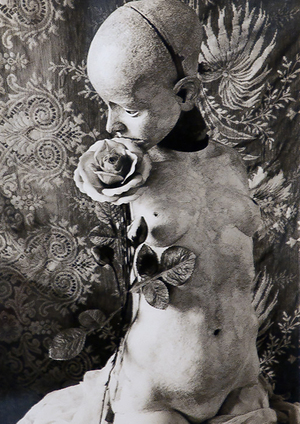 Тело как провокация в искусстве иррационального модернизма