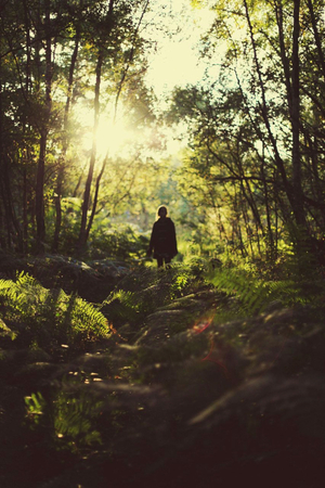 Почему эстетики goblincore и fairycore так хорошо сочетаются?