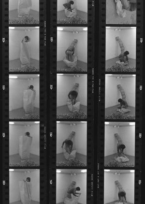 Спектры документальности в азиатской фотографии 