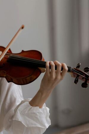 Эволюция скрипки